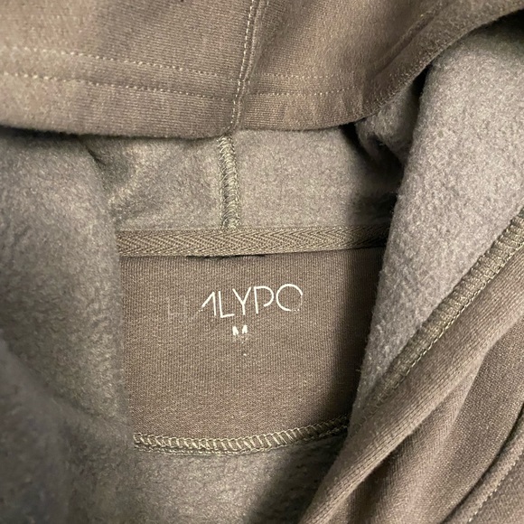 Real Women Own Schnoodles Dog Mom Hoodie - Picture 3 of 5